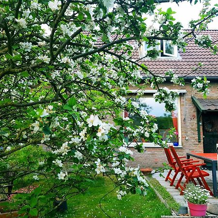 Huisjeaandedinkel Overdinkel エクステリア 写真