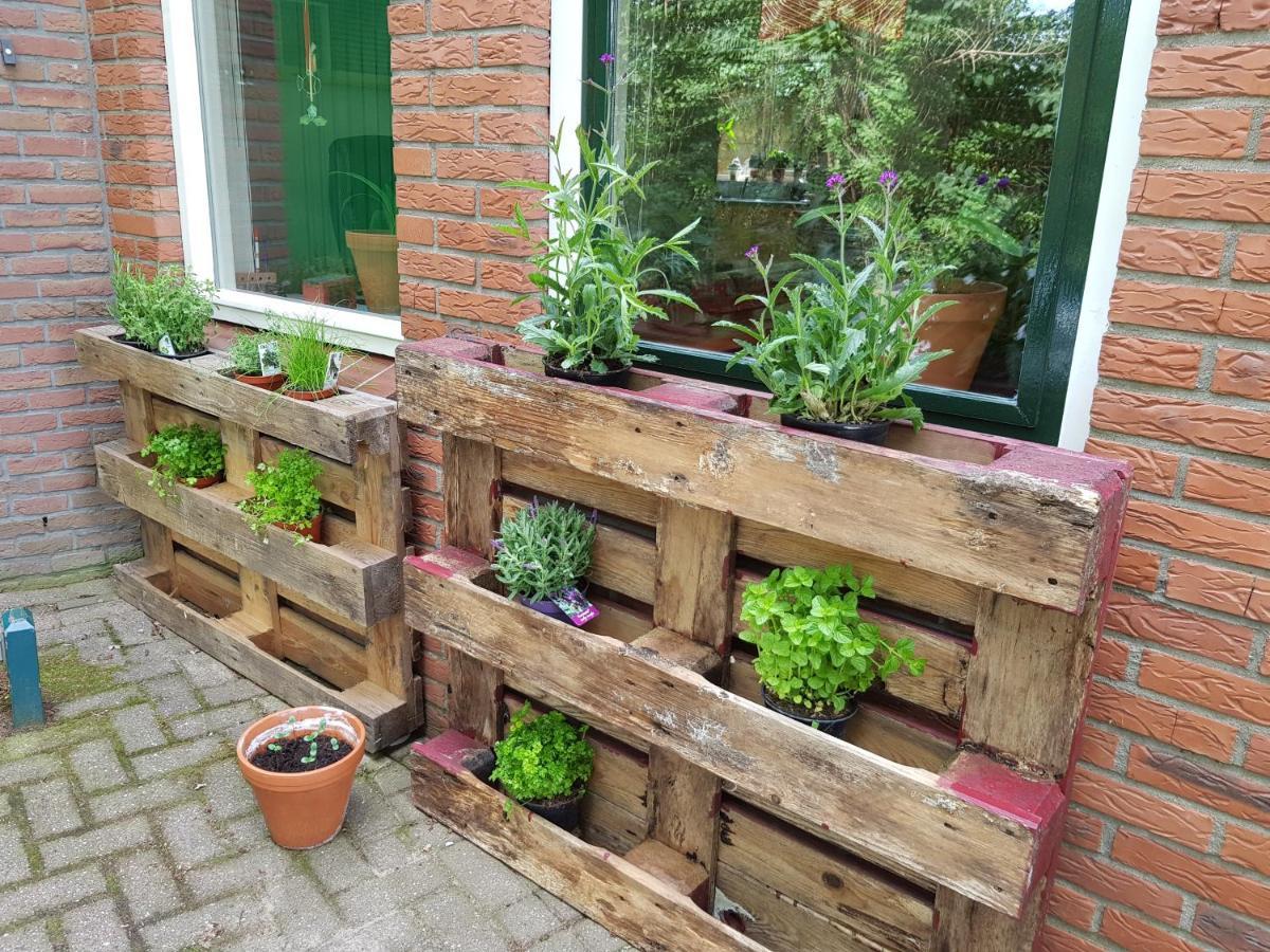 Huisjeaandedinkel Overdinkel エクステリア 写真