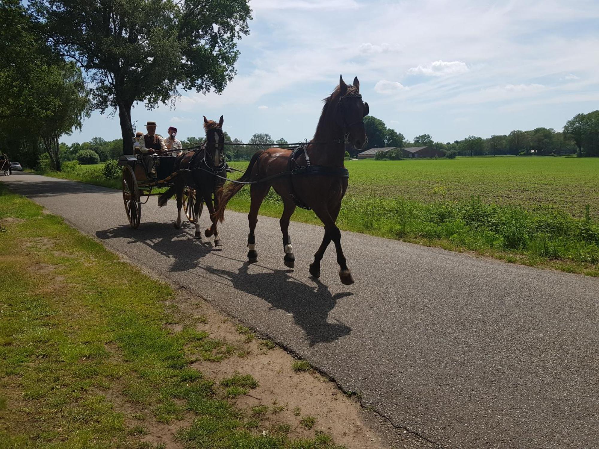 Huisjeaandedinkel Overdinkel エクステリア 写真
